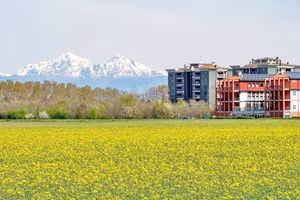 Terreno di 6000 m² a Cinisello Balsamo