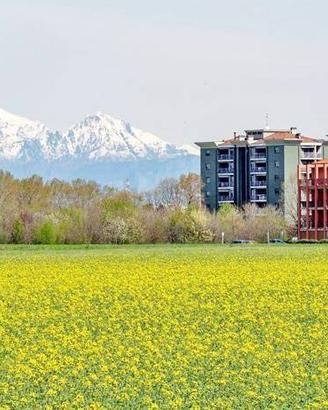 Terreno di 6000 m² a Cinisello Balsamo
