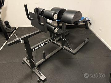 GHD Glute Ham ELITE Lacertosus