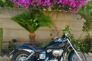 Honda black widow 750 VT 