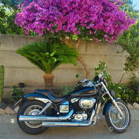 Honda black widow 750 VT 
