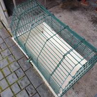 Gabbia per coniglio o cavia