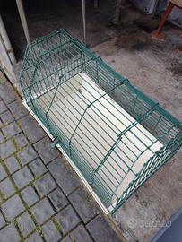 Gabbia per coniglio o cavia