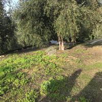 TER. RESIDENZIALE A IMPERIA