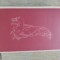 Libro Dostoevskij Umiliati e Offesi Prima Edizione