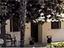 Immagine 14