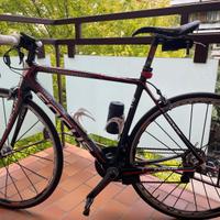 Bici da corsa Focus Cayo