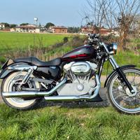 harley 883