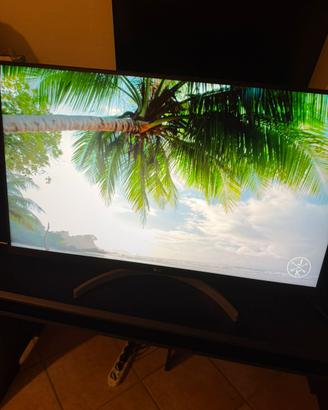 Monitor LG 32UN500 32" 4K UHD HDR - Come Nuovo