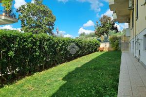 5 LOCALI A CASTELLALTO