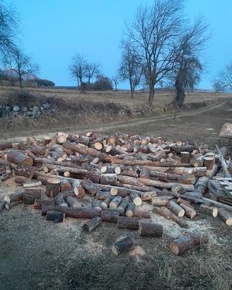 Legna da ardere