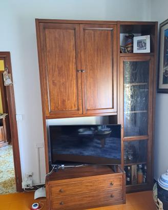 Mobile porta tv