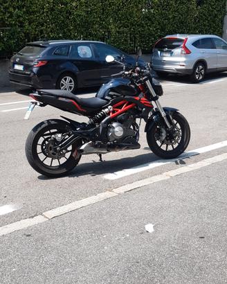 benelli 302s