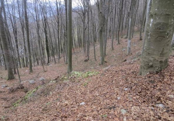 Immobile in asta di 97986 m² a Costa Valle Imagna - Vista 4