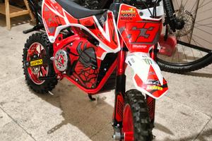 minimoto cross elettrica ncx thor evo