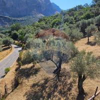 Casa Indipendente - Alcara li Fusi