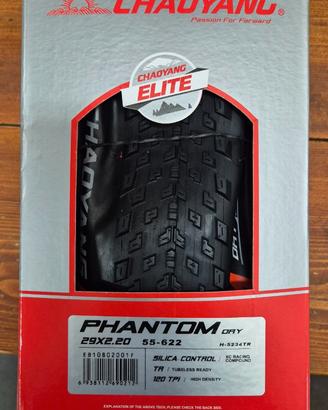 Chaoyang Phantom dry  29*2.20  120 tpi