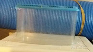 Vaschetta per pesciolini