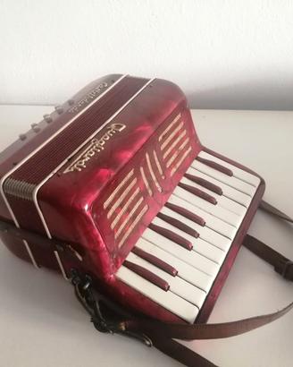 fisarmonica