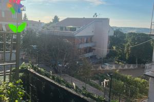 Appartamento