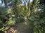 Immagine 11