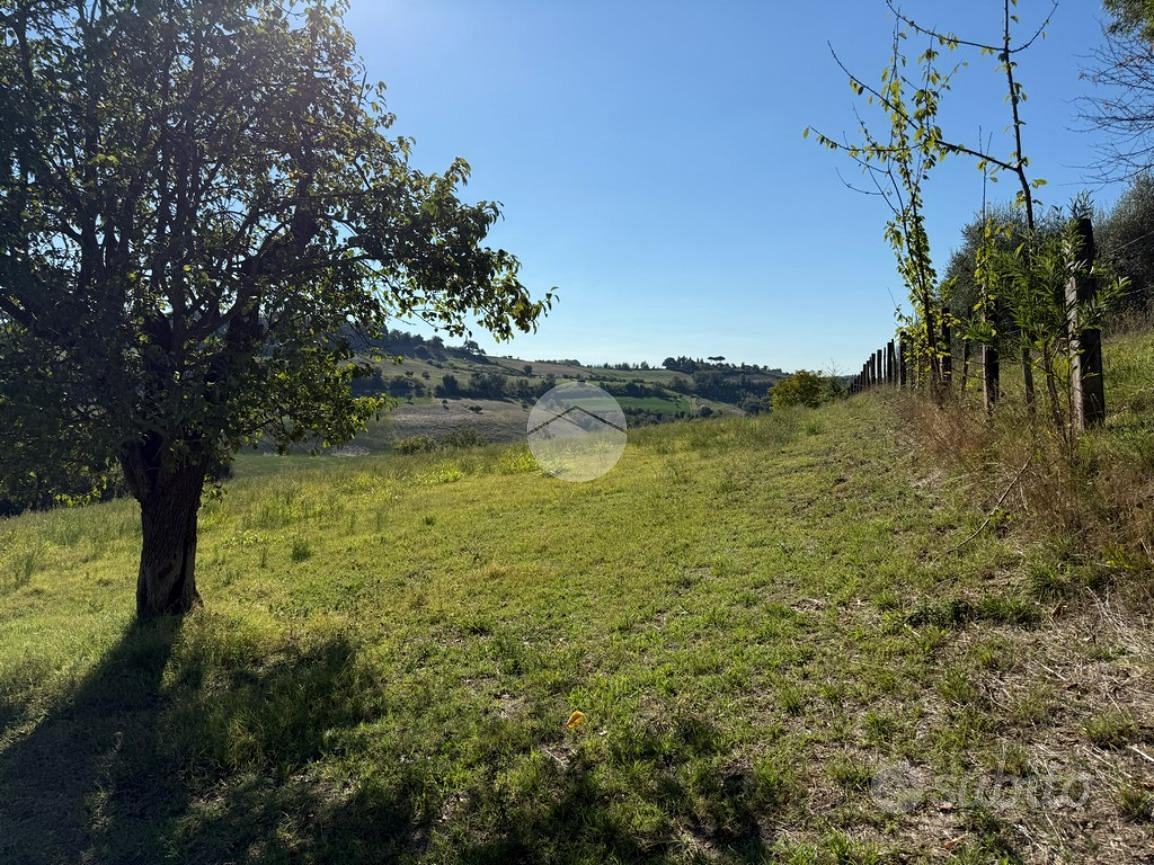 TER. AGRICOLO A MAGLIANO SABINA - Vista 3