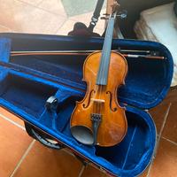 Violino stenton