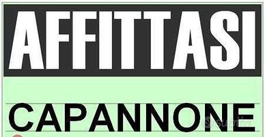 REGGIO-CAVRIAGO capannone ind.te di mq 3.700