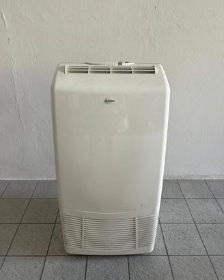 Pinguino condizionatore Sanyo
