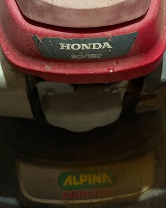 Tagliaerba Alpina