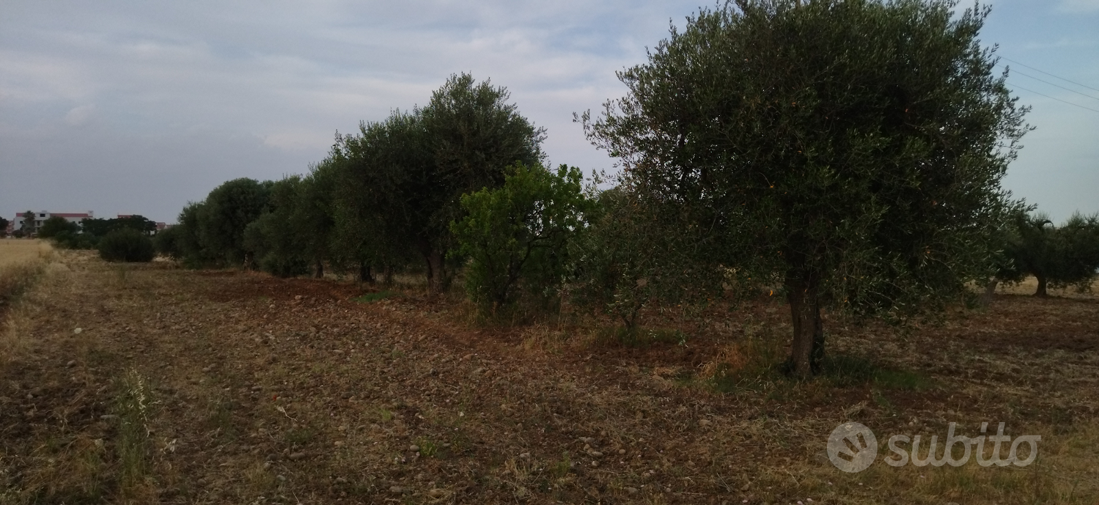 Terreno Marconia - View 2