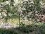 Immagine 12