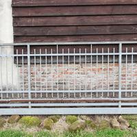 CANCELLO SCORREVOLE MOTORIZZATO