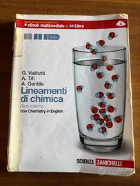 Lineamenti di chimica ( Terza Edizione)