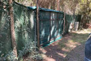 Appezzamento pineta marina di Grosseto