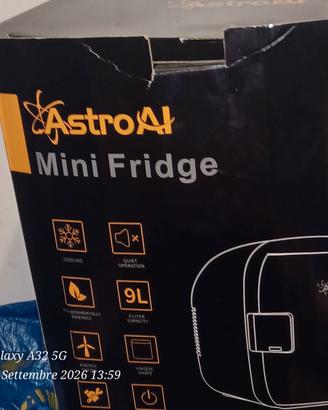 Frigo per auto