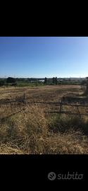 Terreno agricolo