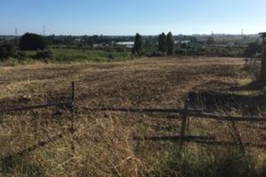 Terreno agricolo