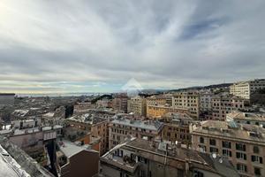 MULTILOCALE A GENOVA