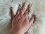 Immagine 6