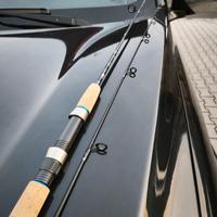 Canna spinning Abu Garcia