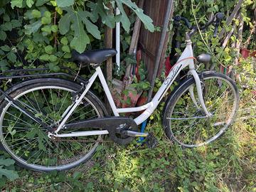 Bici  donna