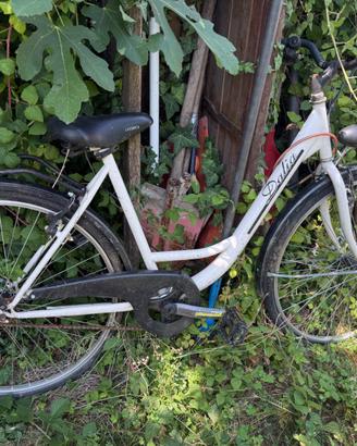 Bici  donna