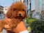 Immagine 1