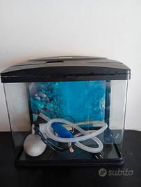 Acquario ♒️ 30l