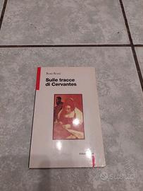 Libro "Sulle tracce di Cervantes"