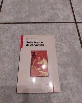 Libro "Sulle tracce di Cervantes"