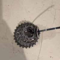 Pacco pignone 10 v12/25 campagnolo