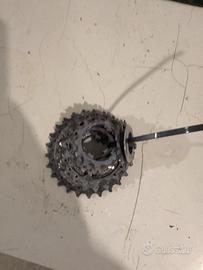 Pacco pignone 10 v12/25 campagnolo