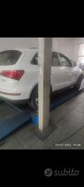 Q5 bianco 